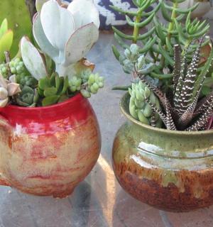 two vases with plants in them sitting on a table
