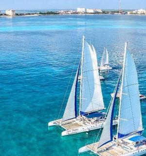 一群帆船漂浮在水面上