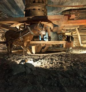 一匹马站在谷仓前