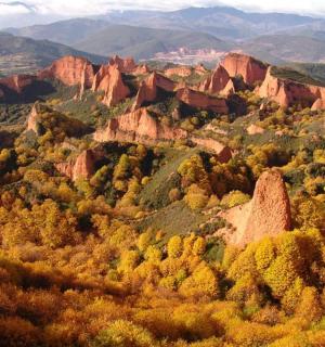 a view of a canyon with trees and rocks