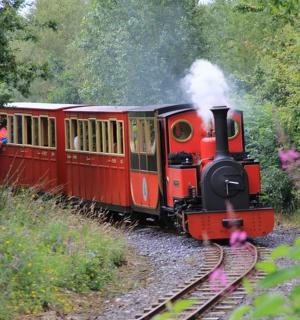 červený vlak jede po kolejích