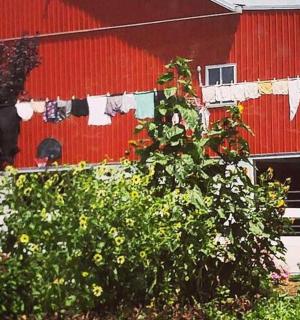 muž kráčející před červenou stodolou s pověšeným oblečením