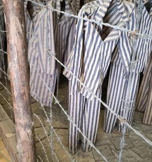 笼子里的一堆雨伞