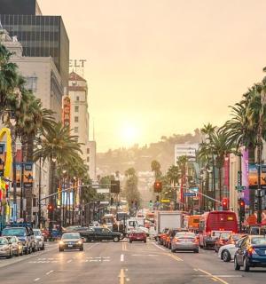 一条交通繁忙、种满棕榈树的城市街道