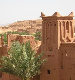 a building in the desert with a palm tree in the foreground