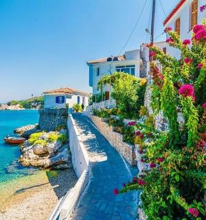 a group of flowers on a wall next to the water
