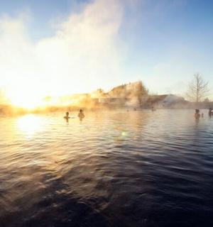 a group of people swimming in a body of water