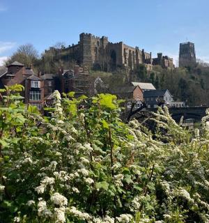 ein Blick auf eine Stadt mit einer Burg im Hintergrund