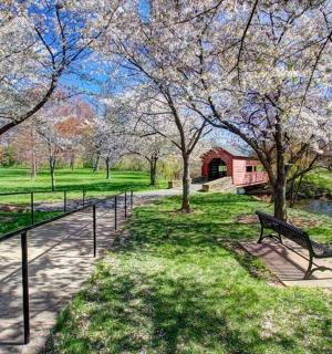 a park with a bench and trees and a river