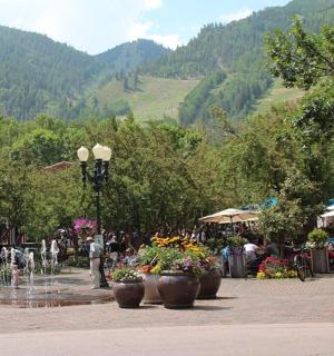 fontána v parku s květinami v květináčích