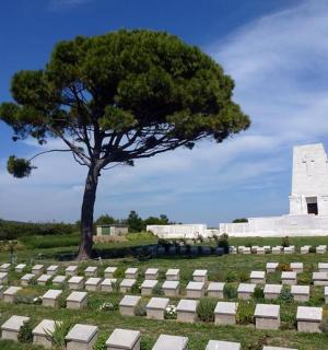 a grave yard with a tree and a monument