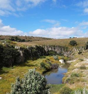 草地中间的一条河