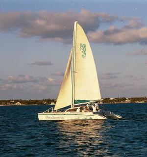 a white sail boat in the water on the ocean