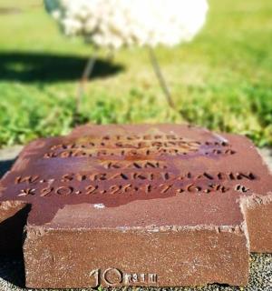 一座砖砌的坟墓,草丛中有一朵花