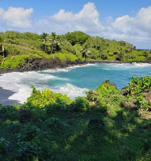 拥有蓝色海水、棕榈树和海洋的海滩