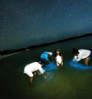 晚上，三个人站在水中
