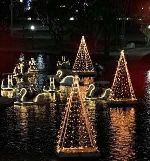 夜晚水中的一组圣诞灯