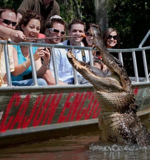 一只鳄鱼站在船前的水中