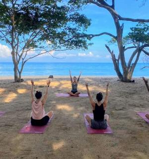 一群人在海滩上做瑜伽