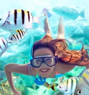 一名女子在海里与鱼一起游泳