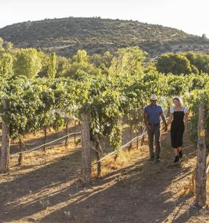 一男一女穿过葡萄园