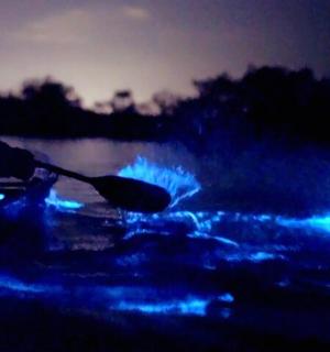 a person is rowing a boat in the water at night