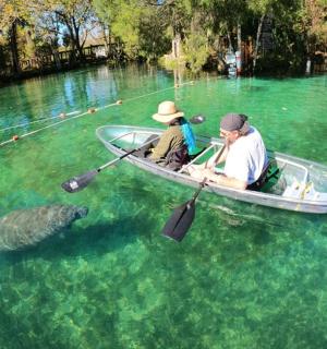 two people in a boat in the water with a turtle