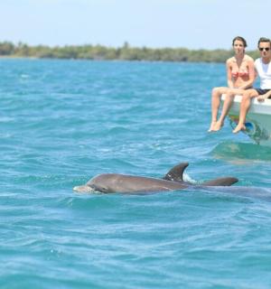 two people sitting on a boat with a dolphin in the water