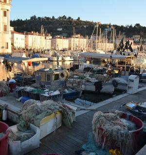 一群停泊在码头的船只