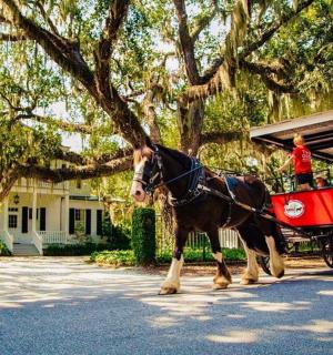 a horse pulling a red carriage with two people on it
