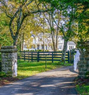 plot a cesta před domem
