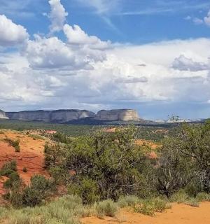 沙漠景观,背景为群山