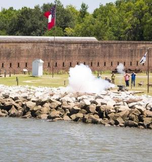 a group of birds on a rock wall near a body of water