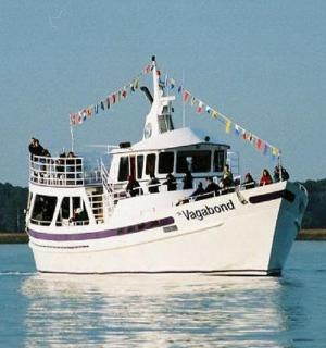 水中有一艘白色小船，上面有人