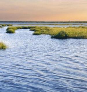 长满草和杂草的河流