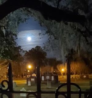 a view of a park at night with a full moon