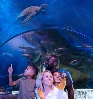 rodina stojící před akváriem