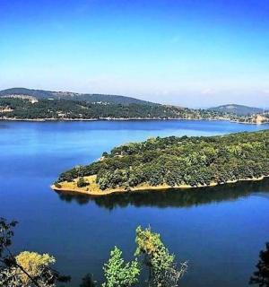 大湖中央的一个小岛