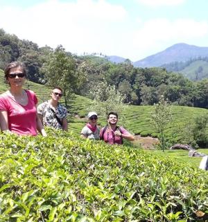 a group of people standing in a tea plantation