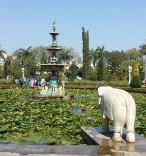 喷泉前的大象雕像