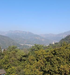 วิวต้นไม้และภูเขาที่อยู่ไกลออกไป