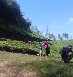 en gruppe mennesker, der går ned ad en græsklædt bakke
