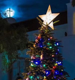 顶上有一颗星星的圣诞树