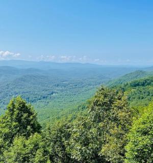 以群山为背景的森林景观