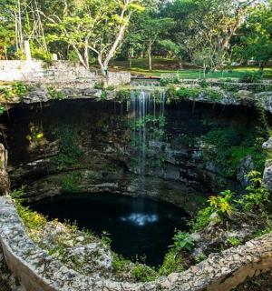 公园里有树木的大型水池