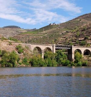 a bridge over a river with a train on it