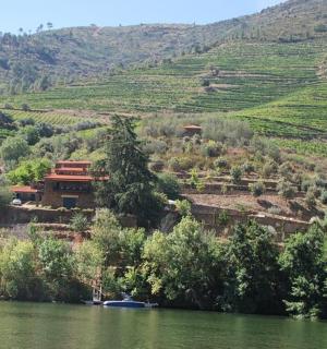 a house on a hill next to a river