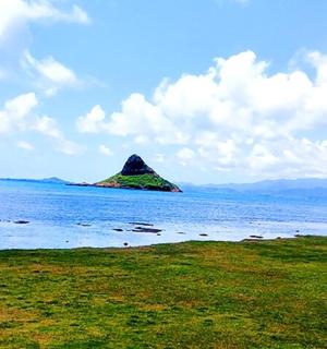 a beach with a palm tree and a island in the water