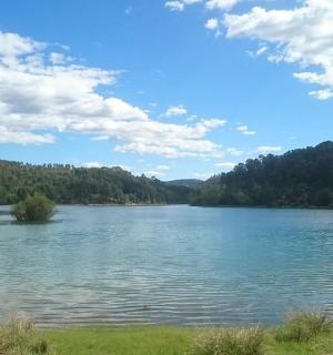 a large body of water with trees in the background