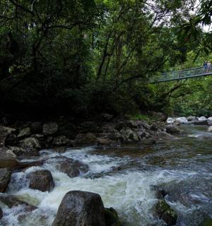 a bridge over a river with a person walking on it